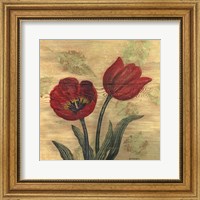 Tulip on Wood Fine Art Print