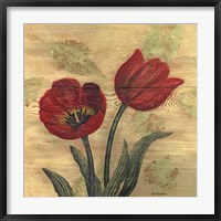 Tulip on Wood Fine Art Print