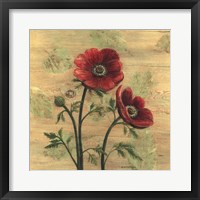 Anemone on Wood Framed Print
