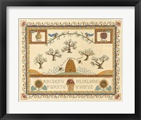 Garden Sampler II Framed Print