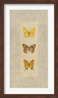 Butterfly Trio I Fine Art Print