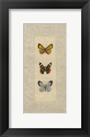 Butterfly Trio II Fine Art Print