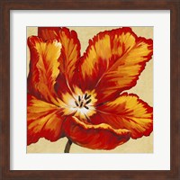 Parrot Tulip I Fine Art Print