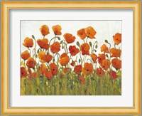 Rows of Poppies I Fine Art Print