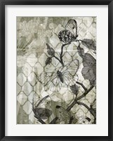 Arabesque Butterflies II Framed Print