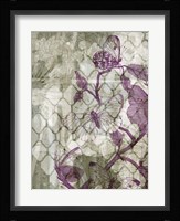 Arabesque Butterflies IV Framed Print