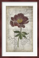 French Floral I Fine Art Print