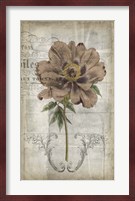 French Floral II Fine Art Print