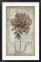 French Floral II Fine Art Print