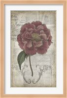 French Floral III Fine Art Print