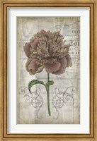 French Floral IV Fine Art Print