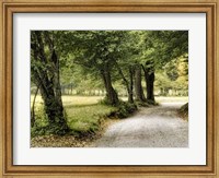 Path in the Country Fine Art Print