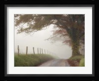 Blanket of Fog Fine Art Print