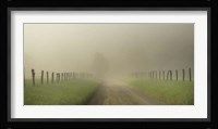 Vanishing Fine Art Print
