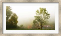 Fog at the Farm Fine Art Print