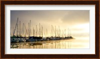 Marina Morning I Fine Art Print