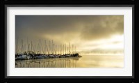 Marina Morning II Framed Print