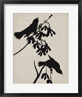 Audubon Silhouette VI Fine Art Print