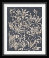 Vintage Fruit & Floral I Framed Print