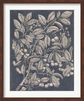 Vintage Fruit & Floral III Fine Art Print