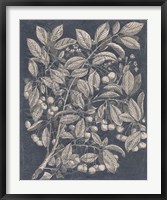 Vintage Fruit & Floral III Fine Art Print