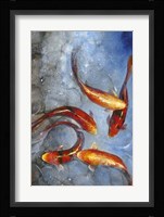 Graceful Koi I Fine Art Print