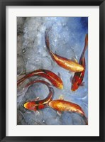 Graceful Koi I Fine Art Print
