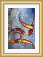 Graceful Koi I Fine Art Print