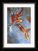 Graceful Koi II Fine Art Print
