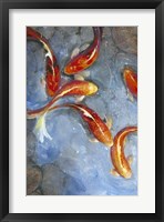 Graceful Koi II Fine Art Print