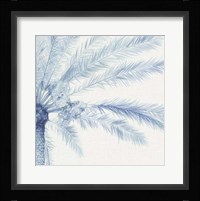 Chambray Palms II Framed Print
