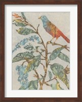 Aviary Collage II Fine Art Print