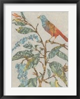 Aviary Collage II Fine Art Print