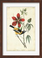Audubon Bird & Botanical I Fine Art Print