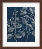 Modern Botany I Fine Art Print