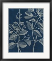 Modern Botany I Fine Art Print