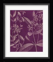 Modern Botany III Fine Art Print