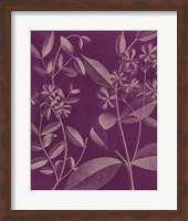 Modern Botany III Fine Art Print