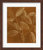 Modern Botany VI Fine Art Print