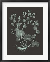 Mint & Charcoal Nature Study I Fine Art Print