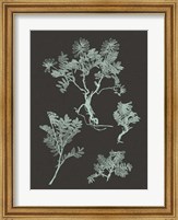 Mint & Charcoal Nature Study II Fine Art Print