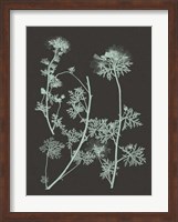 Mint & Charcoal Nature Study IV Fine Art Print