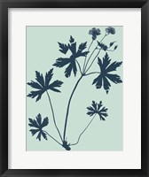 Indigo & Mint Botanical Study III Fine Art Print