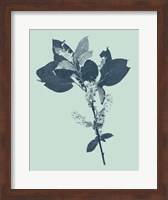 Indigo & Mint Botanical Study V Fine Art Print