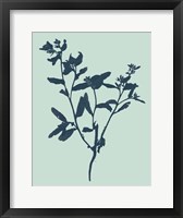 Indigo & Mint Botanical Study VII Fine Art Print