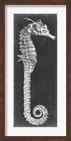 Seahorse Blueprint II Fine Art Print