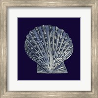 Indigo Shells VIII Fine Art Print