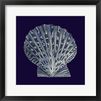 Indigo Shells VIII Fine Art Print