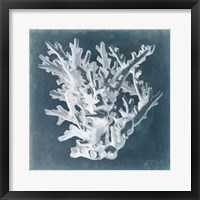 Azure Coral I Fine Art Print