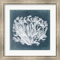 Azure Coral III Fine Art Print